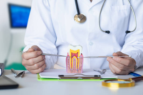 Best Emergency Root Canal Treatment in Liberty, KY